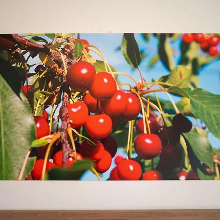 Casa de hóspedes Roveleto Camere *