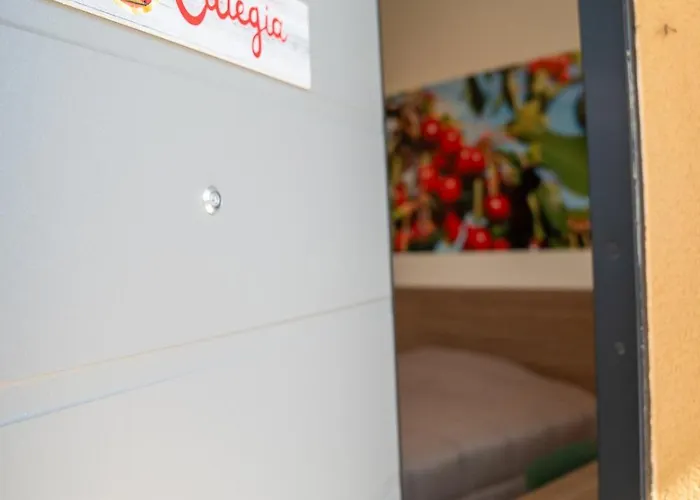 Roveleto Camere Pensjonat Roveleto