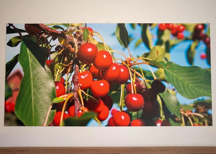 Pensjonat Roveleto Camere 3*